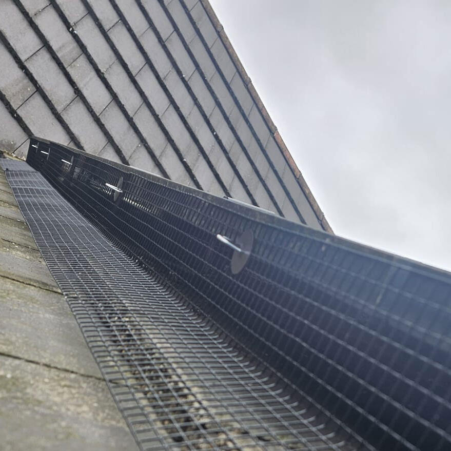 Pigeon Proofing Solar Panels in Rotherham
