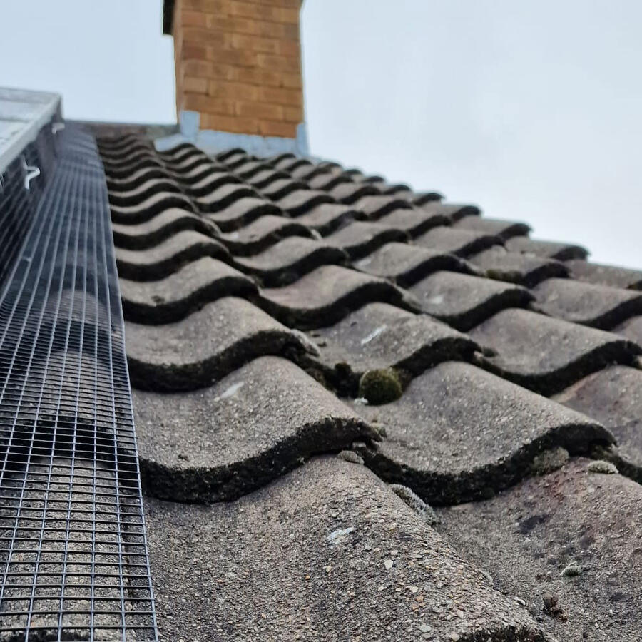 Pigeon Proofing Solar Panels in Ruddington