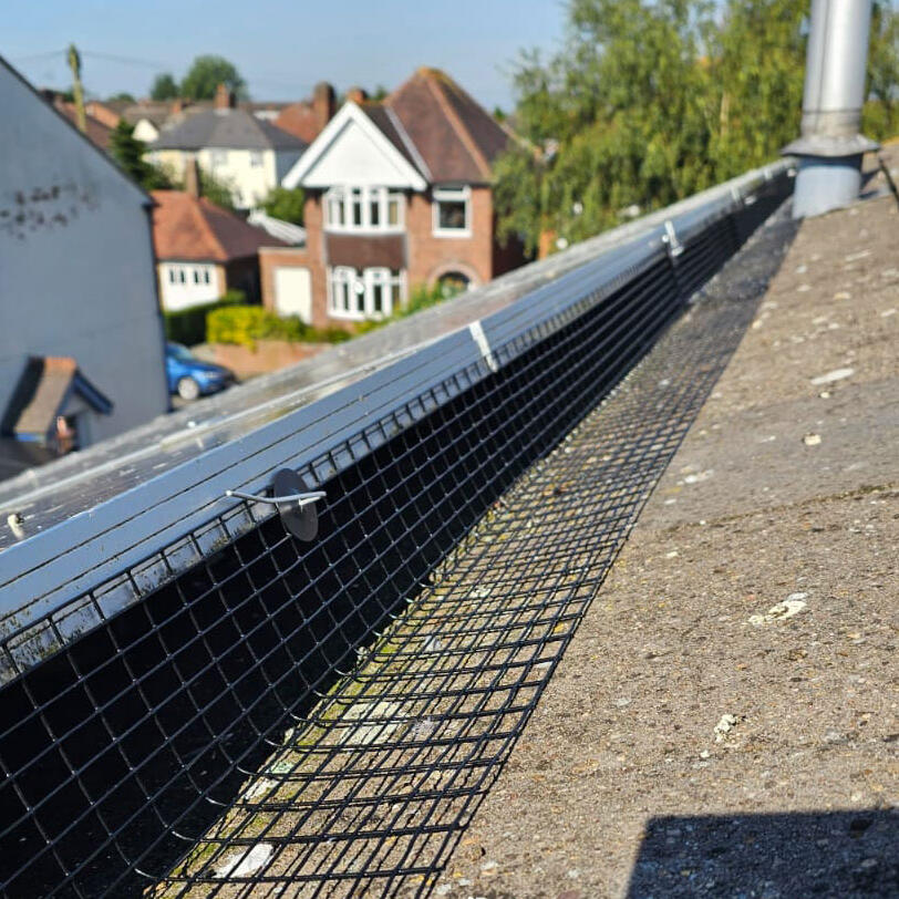 Protecting Solar Panels From Pigeons in Sawley