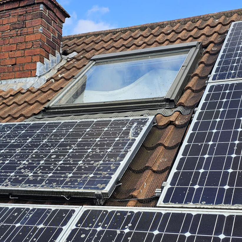 Pigeon Proofing Solar Panels in Sheffield