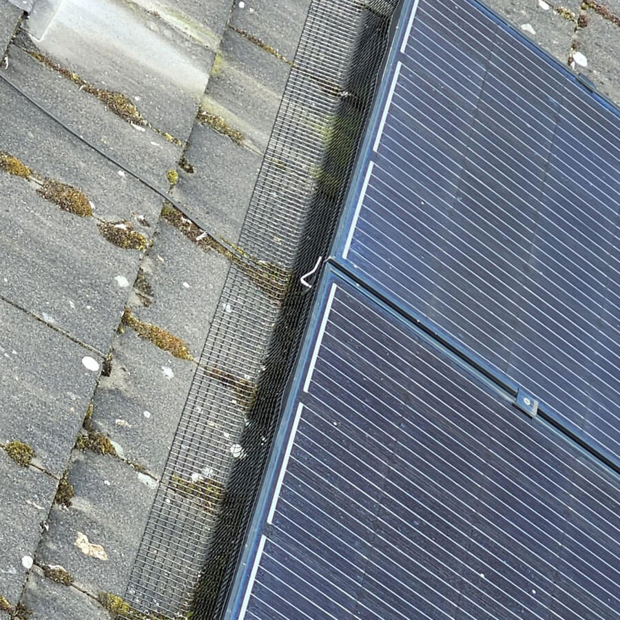 Protecting Solar Panels from Pigeons in Sherwood