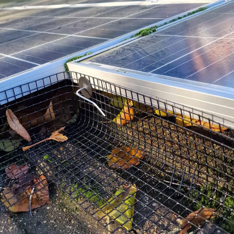 Pigeon Mesh Installed on Solar Panels in Basford