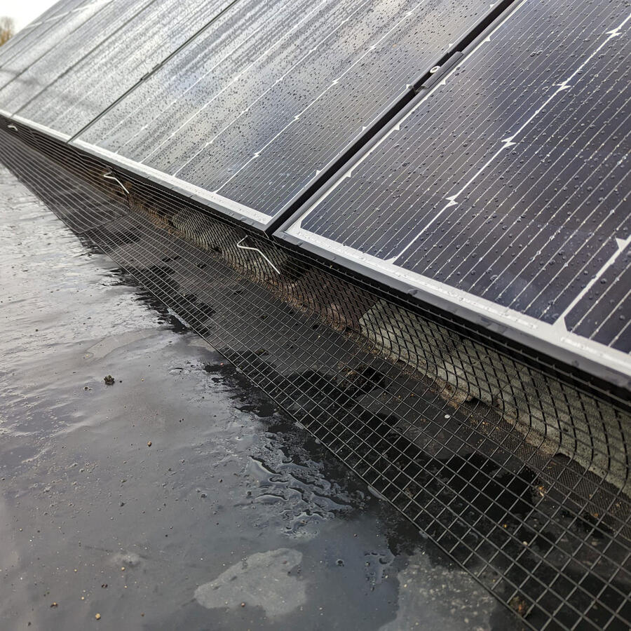 Pigeon Mesh Installed in Bramcote