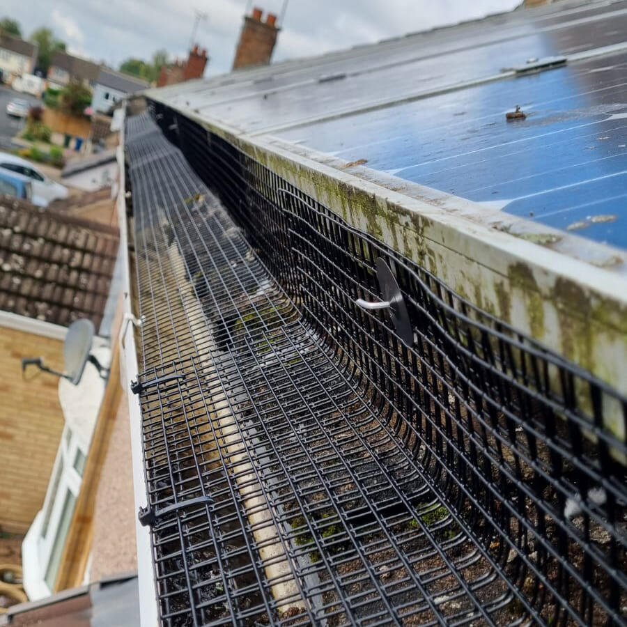 Pigeon Proofing Solar Panels in Ruddington