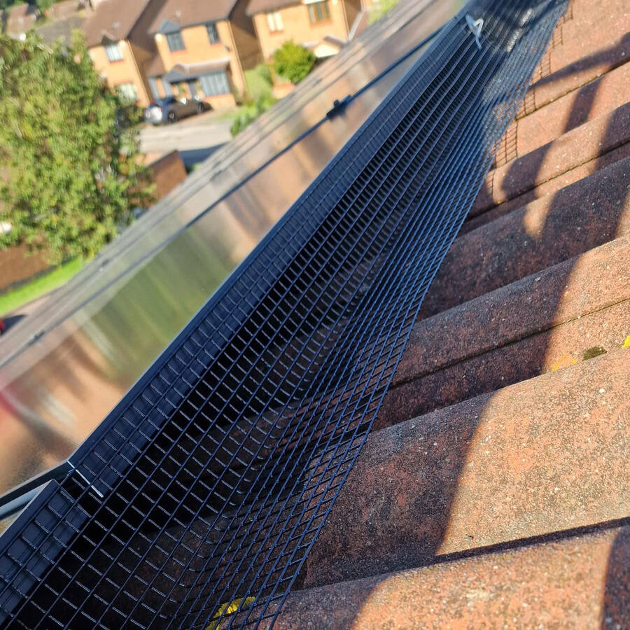 Pigeon Proofing Solar Panels in Kimberley