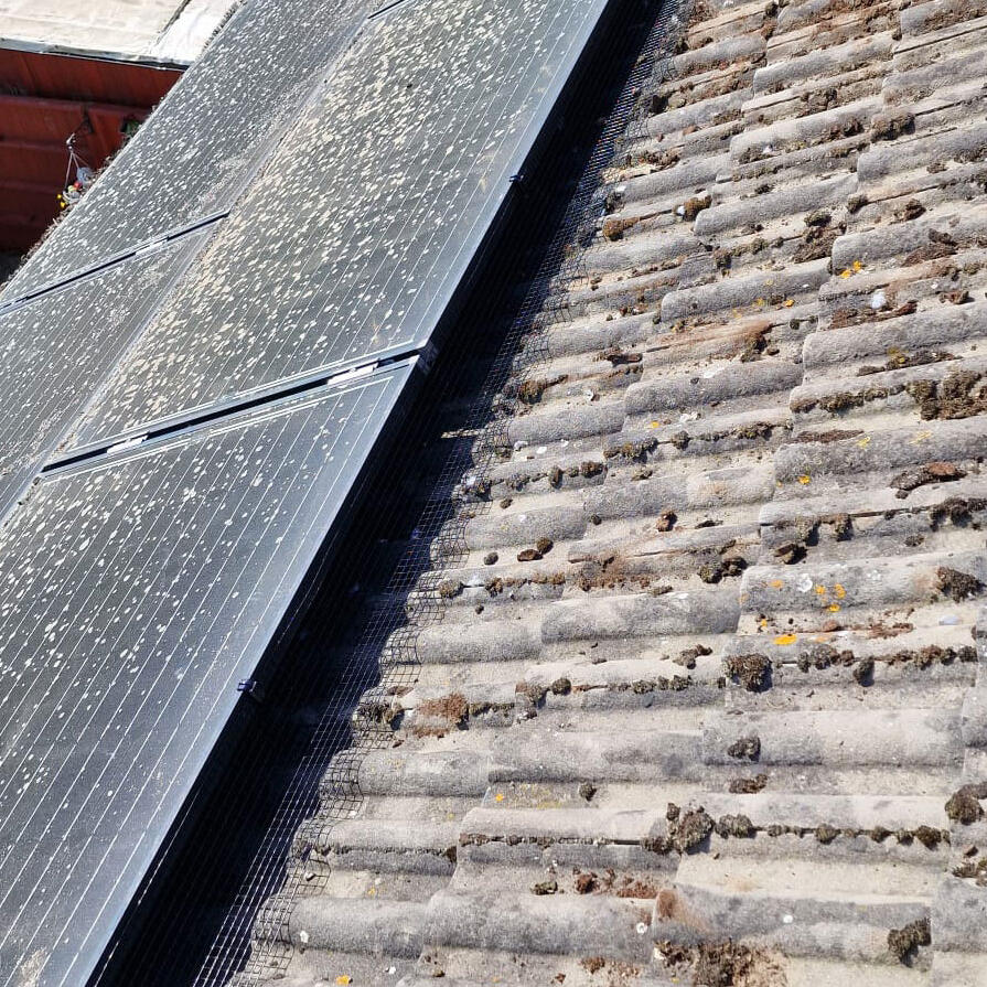 Protecting Solar Panels from Pigeons in Stoke Bardolph
