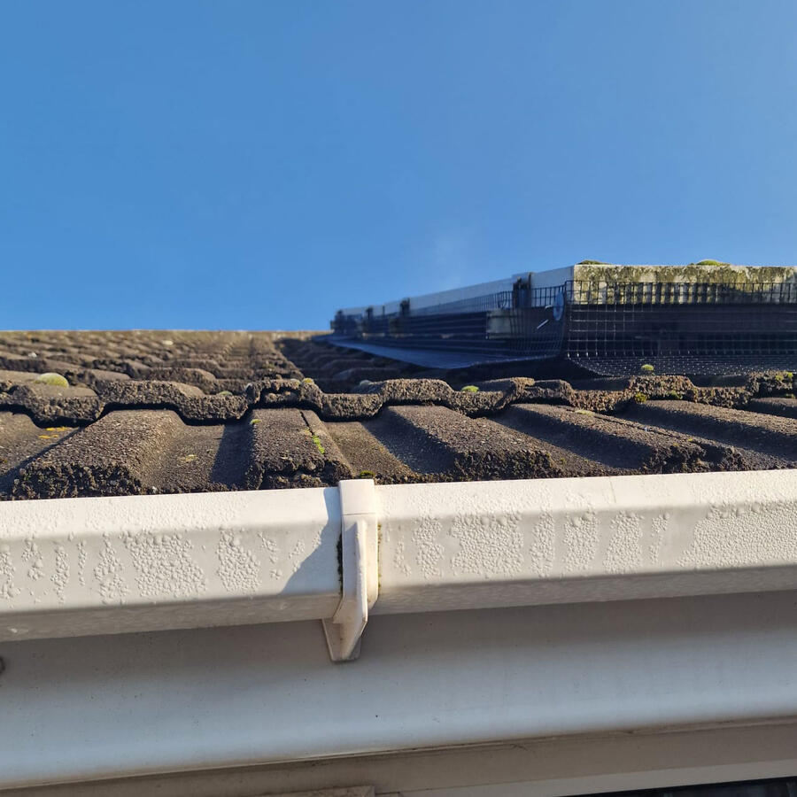 Protecting Solar Panels from Pigeons in Blidworth