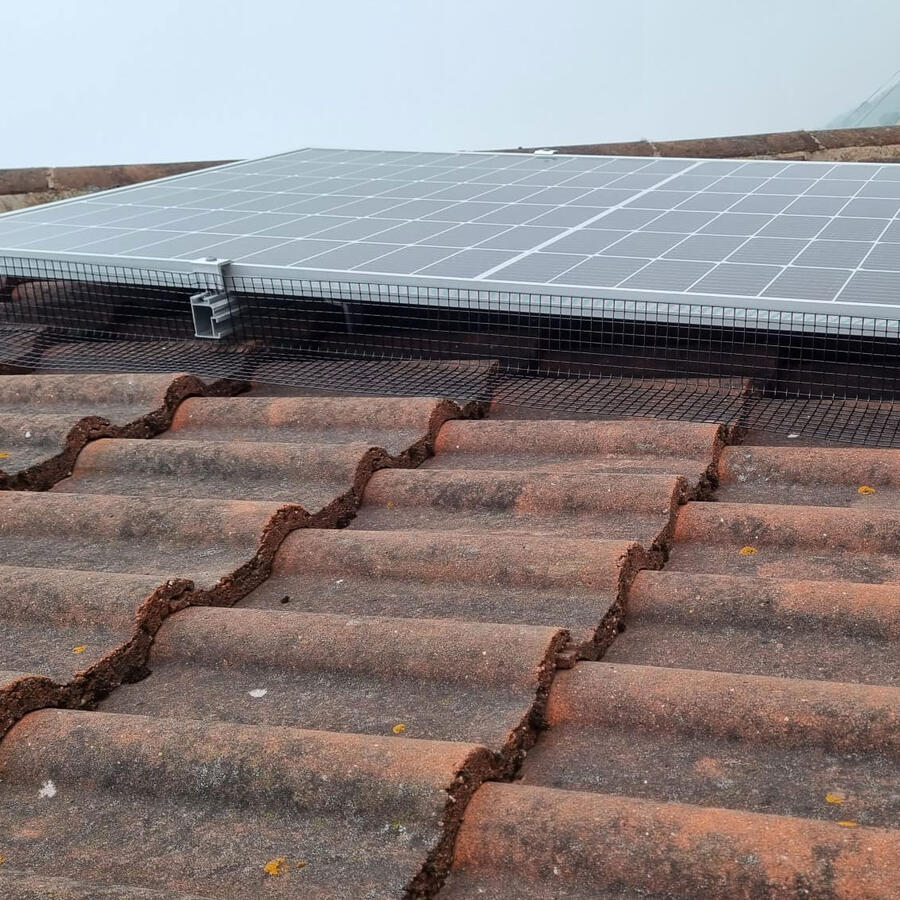 Pigeon Solar Panel Mesh Installed in Jacksdale