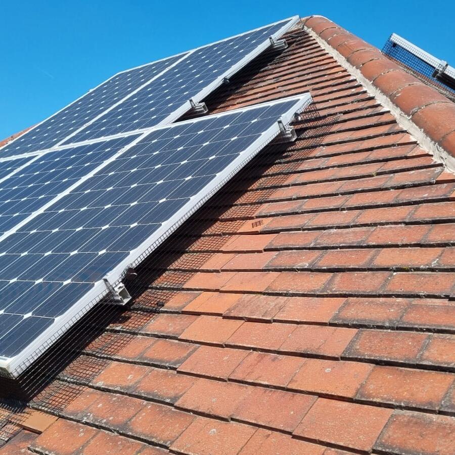 Solar Panel Pigeon Proofing in Bakersfield