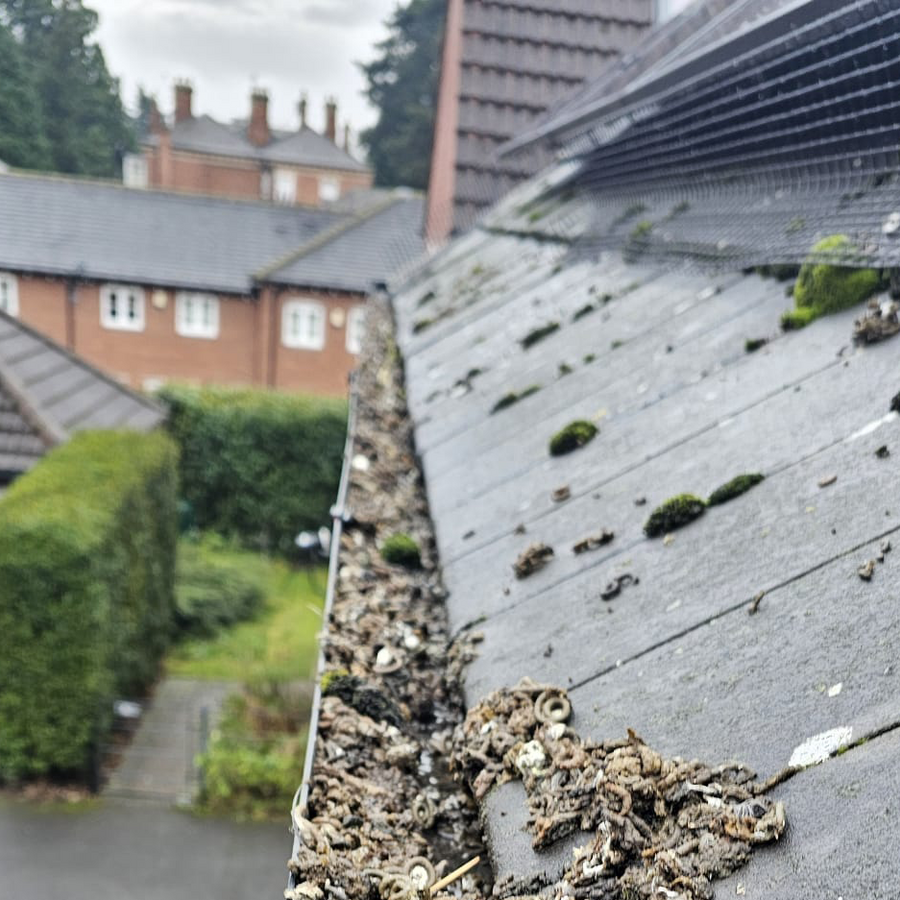 Protecting Solar Panels From Pigeons in Barrow upon Soar