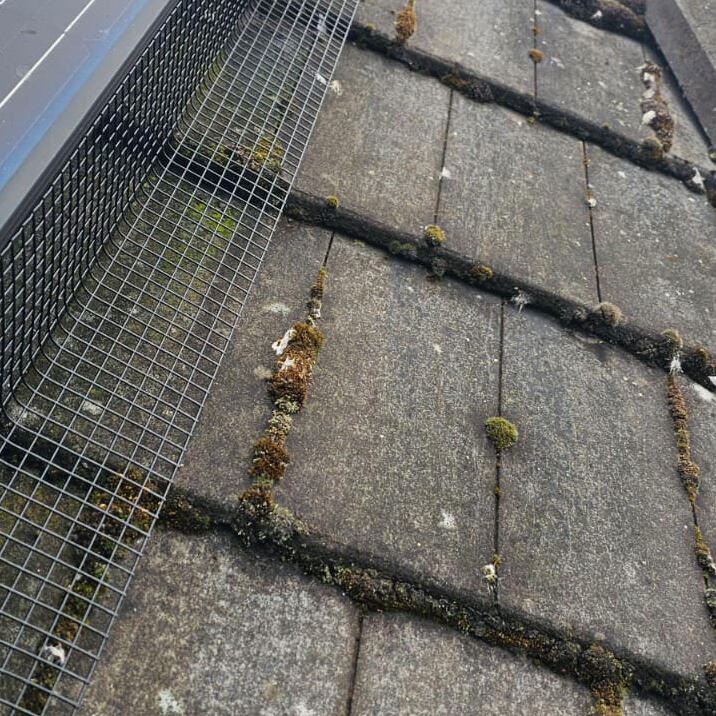 In Basford to Protect Solar Panels From Pigeons