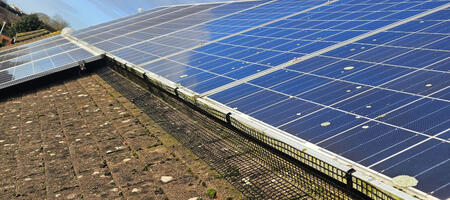 Pigeon Proofing Solar Panels in Braunstone