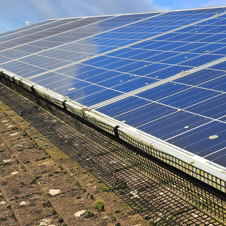 Pigeon Proofing Solar Panels in Braunstone