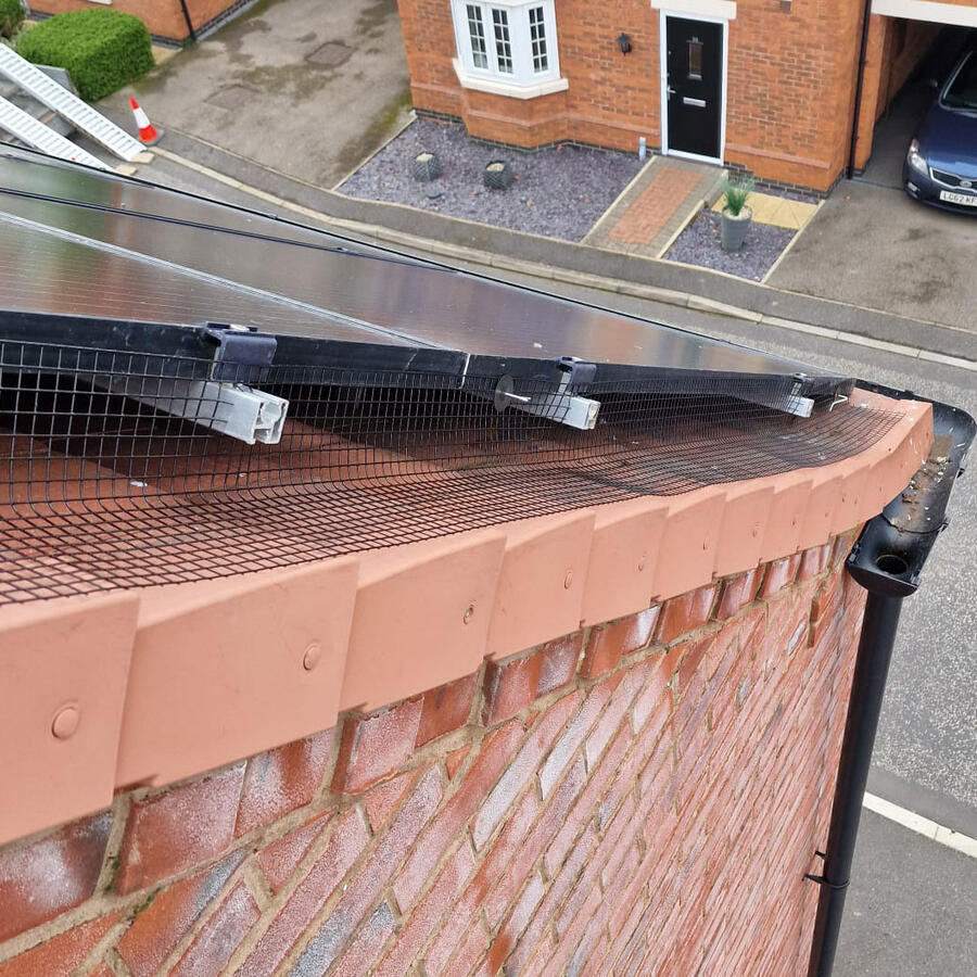 Protecting Solar Panels from Pigeons in Leicestershire
