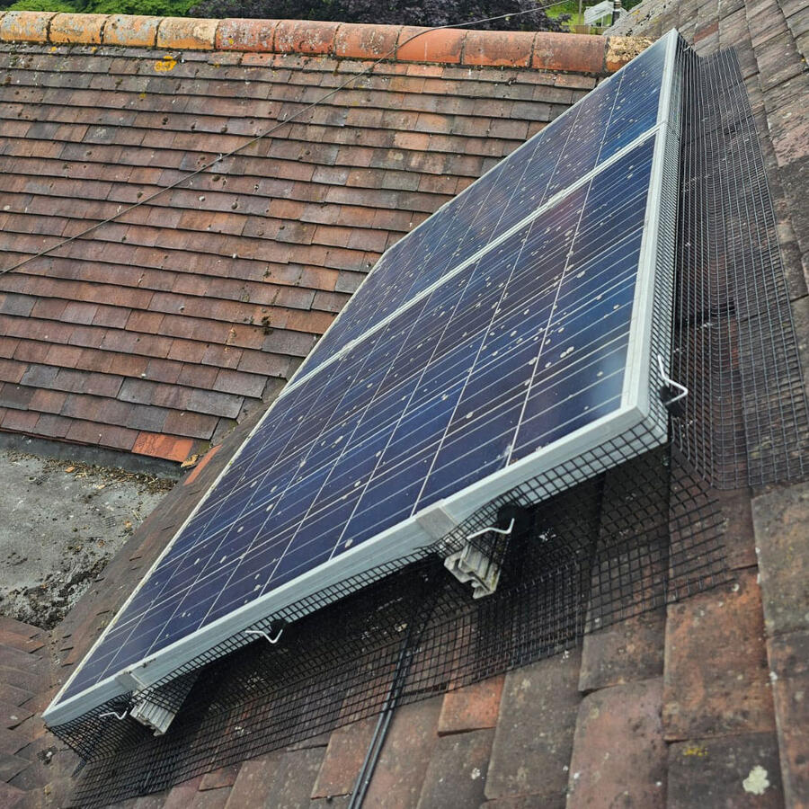 Preventing Pigeons From Nesting Under Solar Panels in Radcliffe-on-Trent