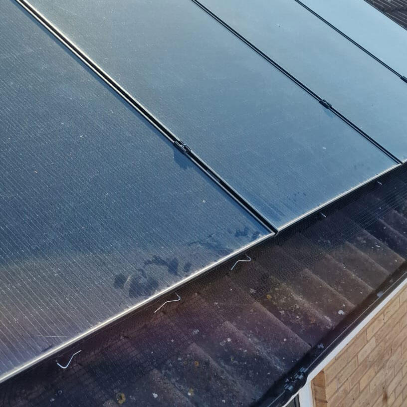 Protecting Solar Panels from Pigeons in Newark