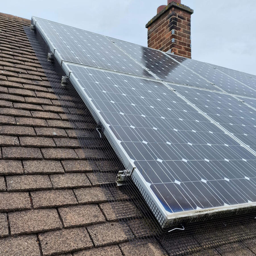 Pigeon Proofing Solar Panels in Sandiacre