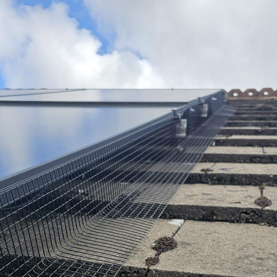 Protecting Solar Panels From Pigeons In Toton