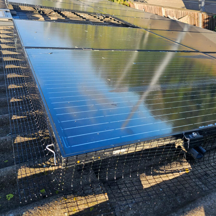Preventing Pigeons From Nesting Under Solar Panels in The Meadows