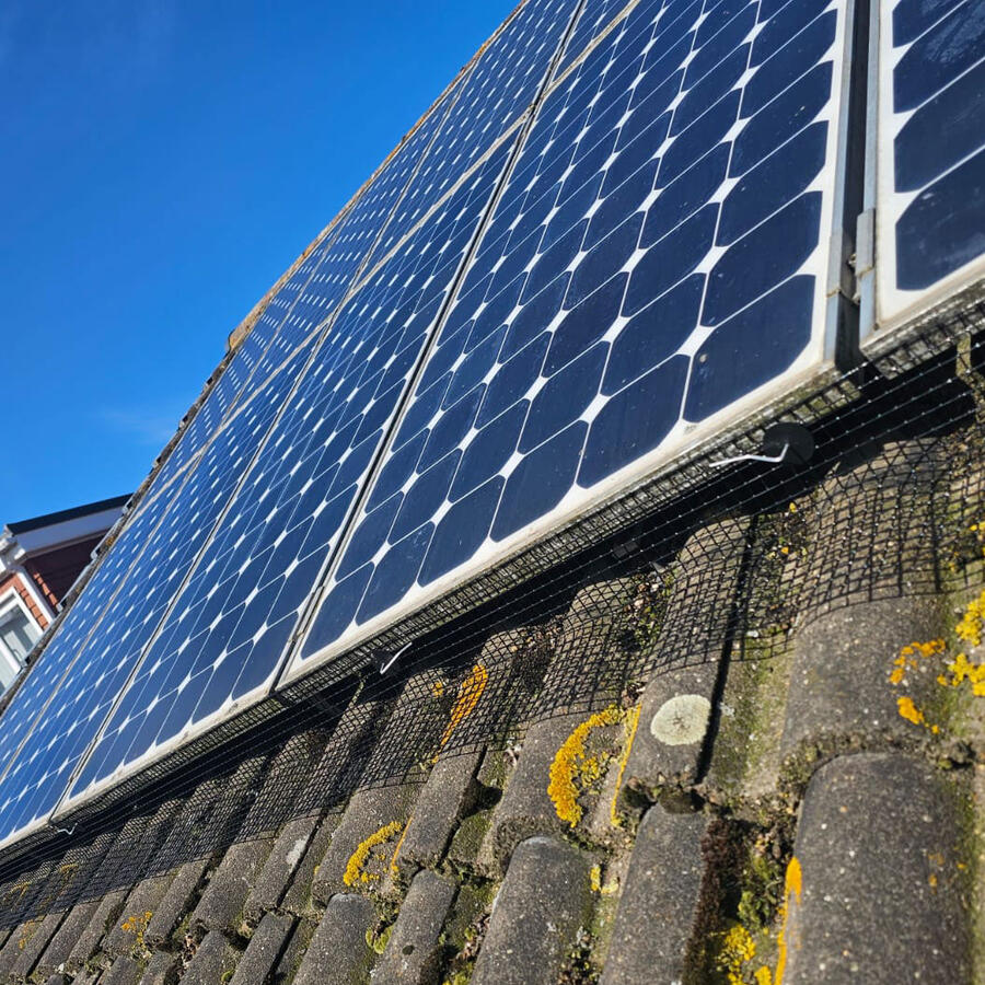 Protecting Solar Panels From Pigeons in Worksop