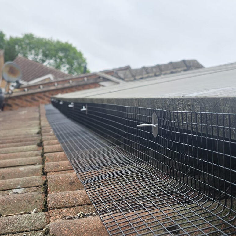 Solar Panels Protected from Pigeons in South Normanton