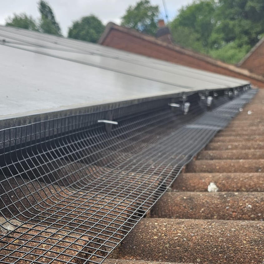 Protecting Solar Panels from Pigeons in Southwell