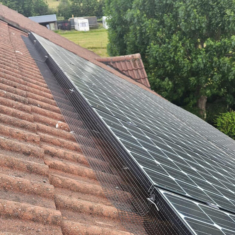 In The Village of Stanley Common to Prevent Pigeons Nesting Under Solar Panels