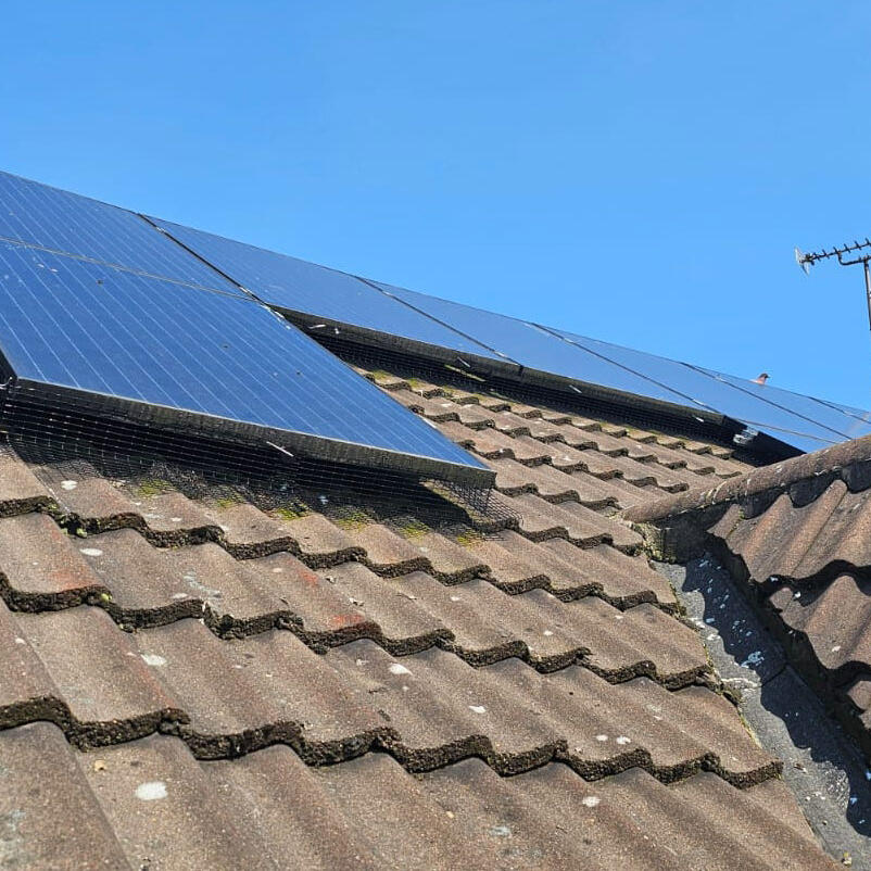 Protecting Solar Panels From Nesting Pigeons in Stenson Fields