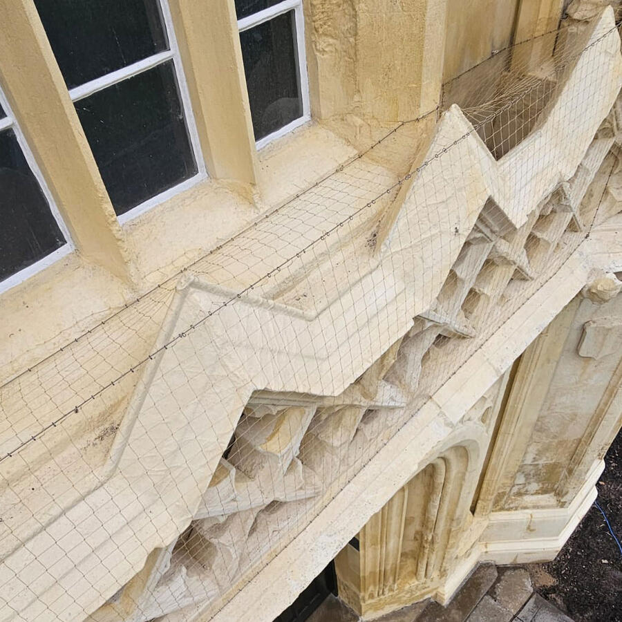 Bird Proofing a Listed Building in York