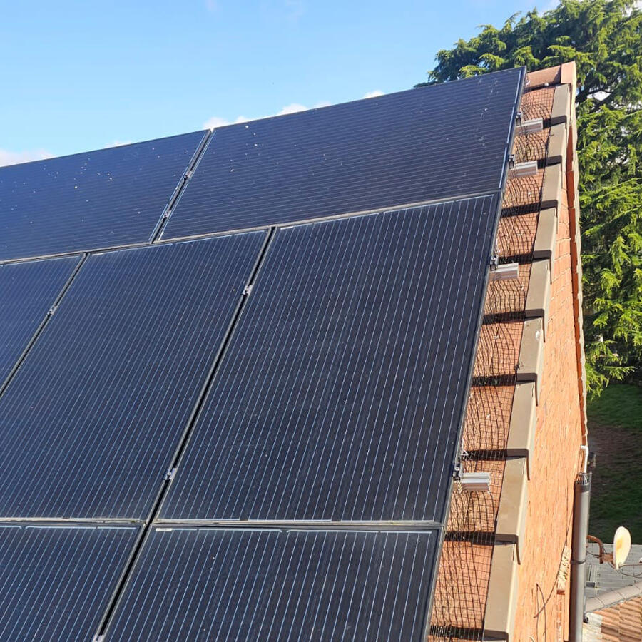 Protecting Solar Panels FromPigeons in Sutton-in-Ashfield