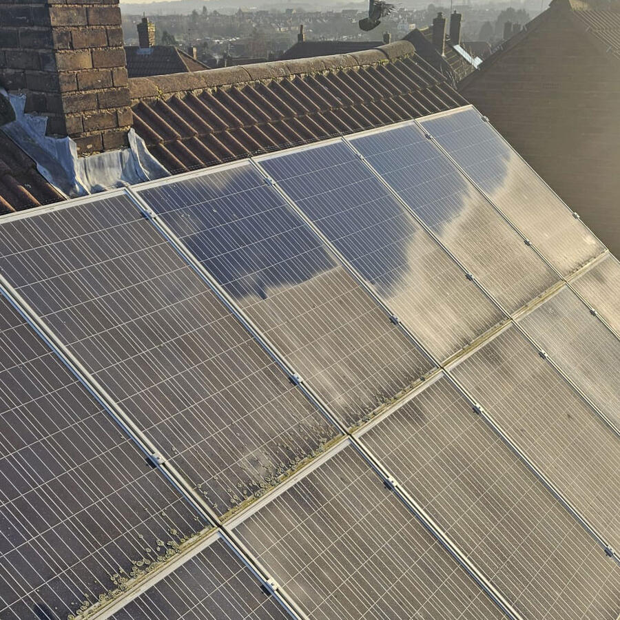 Protecting Solar Panels From Pigeons in Sutton-in-Ashfield
