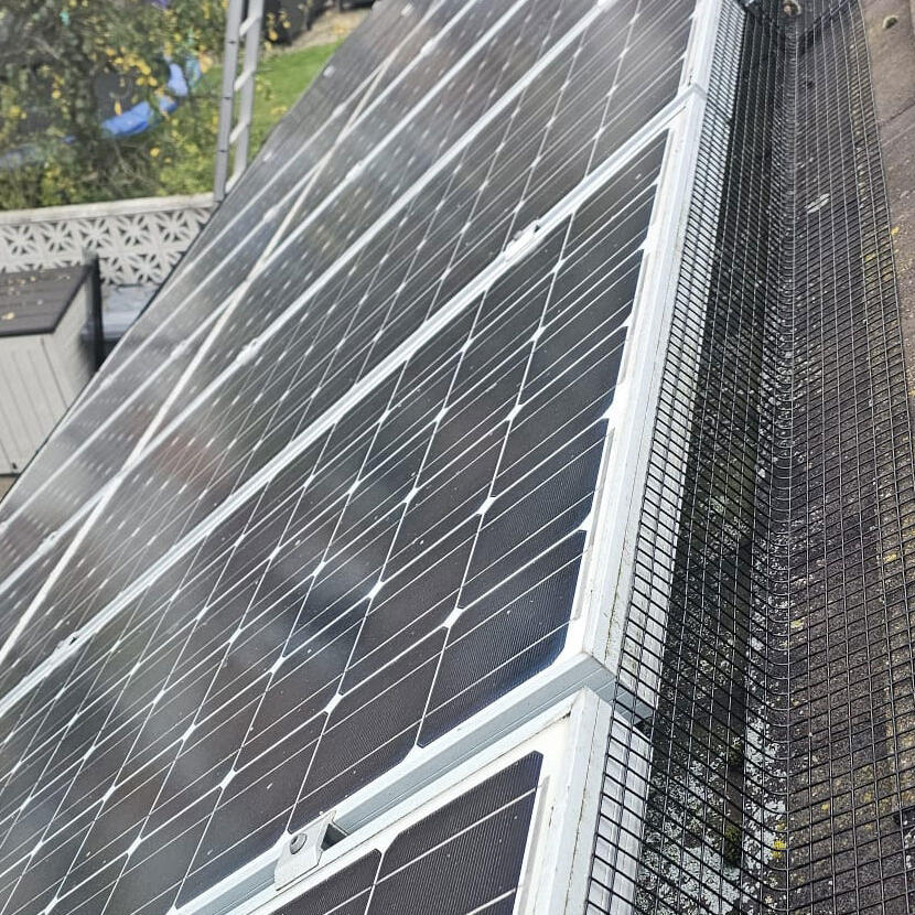Protecting Solar Panels From Pigeons in Tollerton