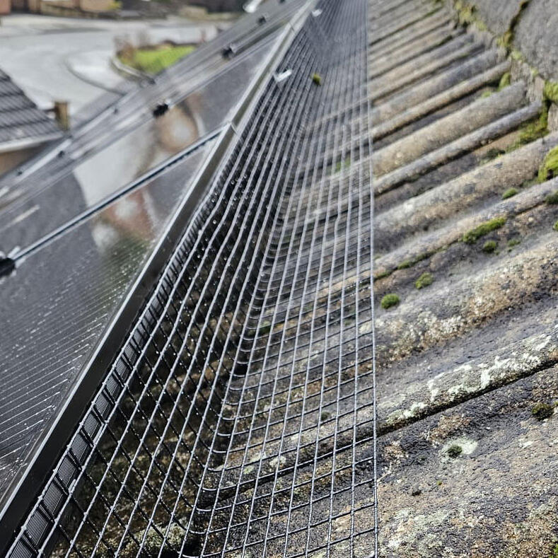 Solar Panels Protected from Pigeons in Toton