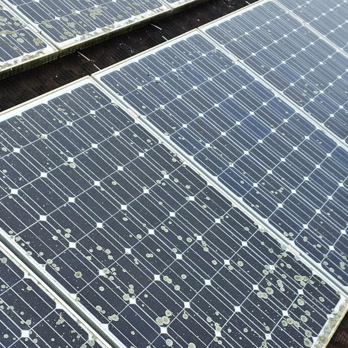 Protecting Solar Panels From Pigeons in Welton