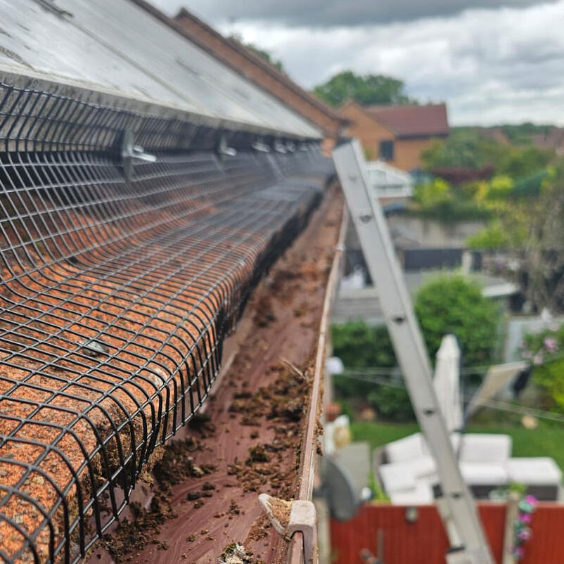 Protecting Solar Panels From Pigeons in West Hallam