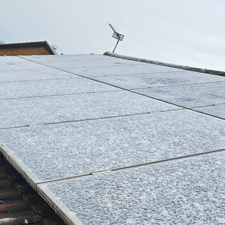 Protecting Solar Panels From Pigeons in West Hallam