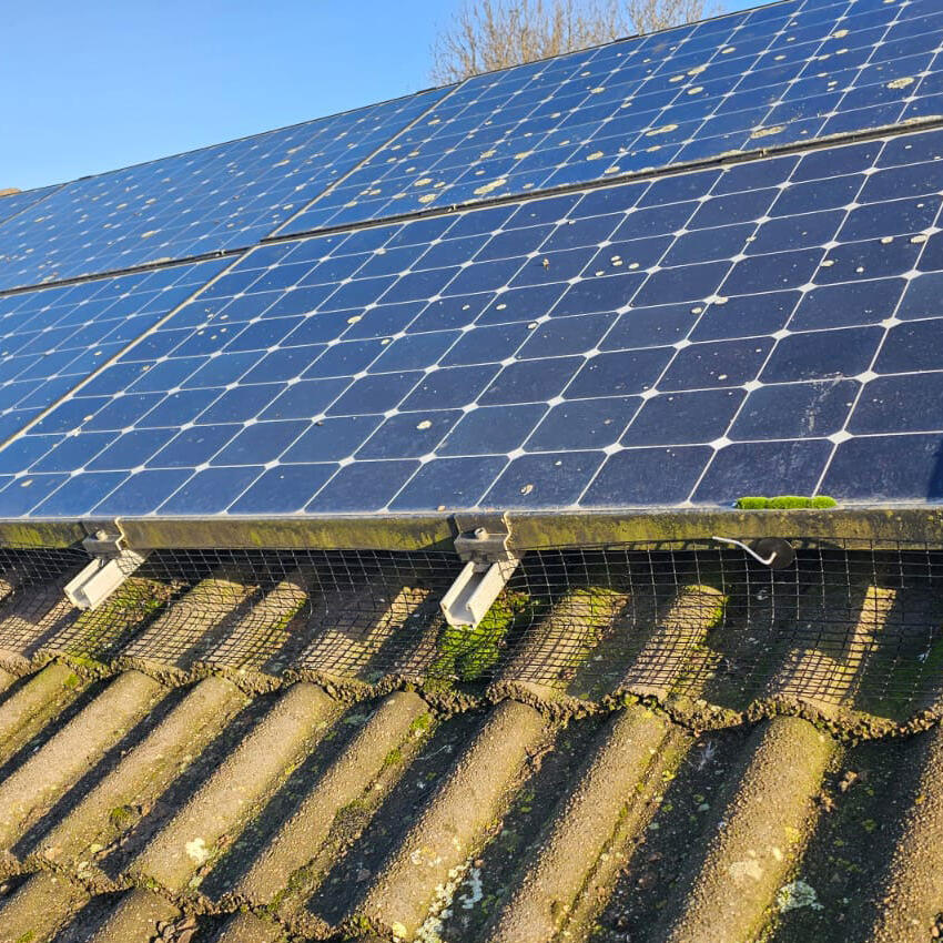 Protecting Solar Panels From Pigeons in Wigston, Leicester