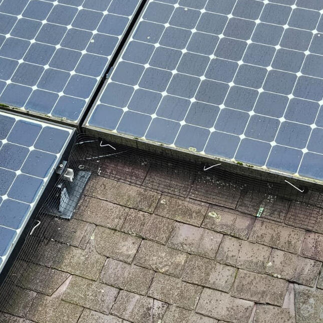 Protecting Solar Panels From Pigeons in Woodthorpe