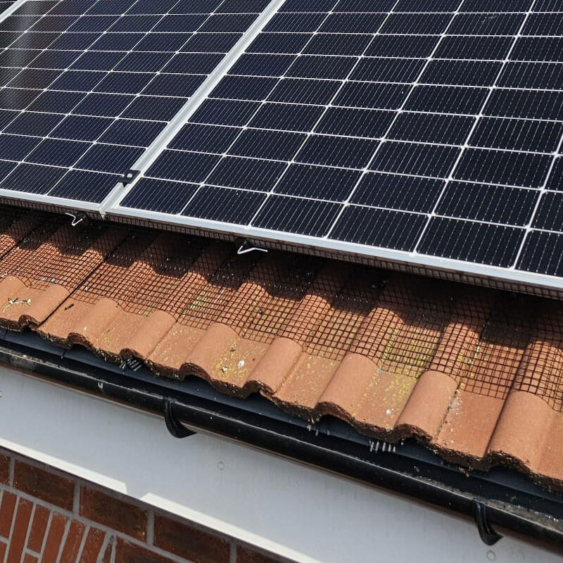 Protecting Solar Panels from Pigeons in Worksop