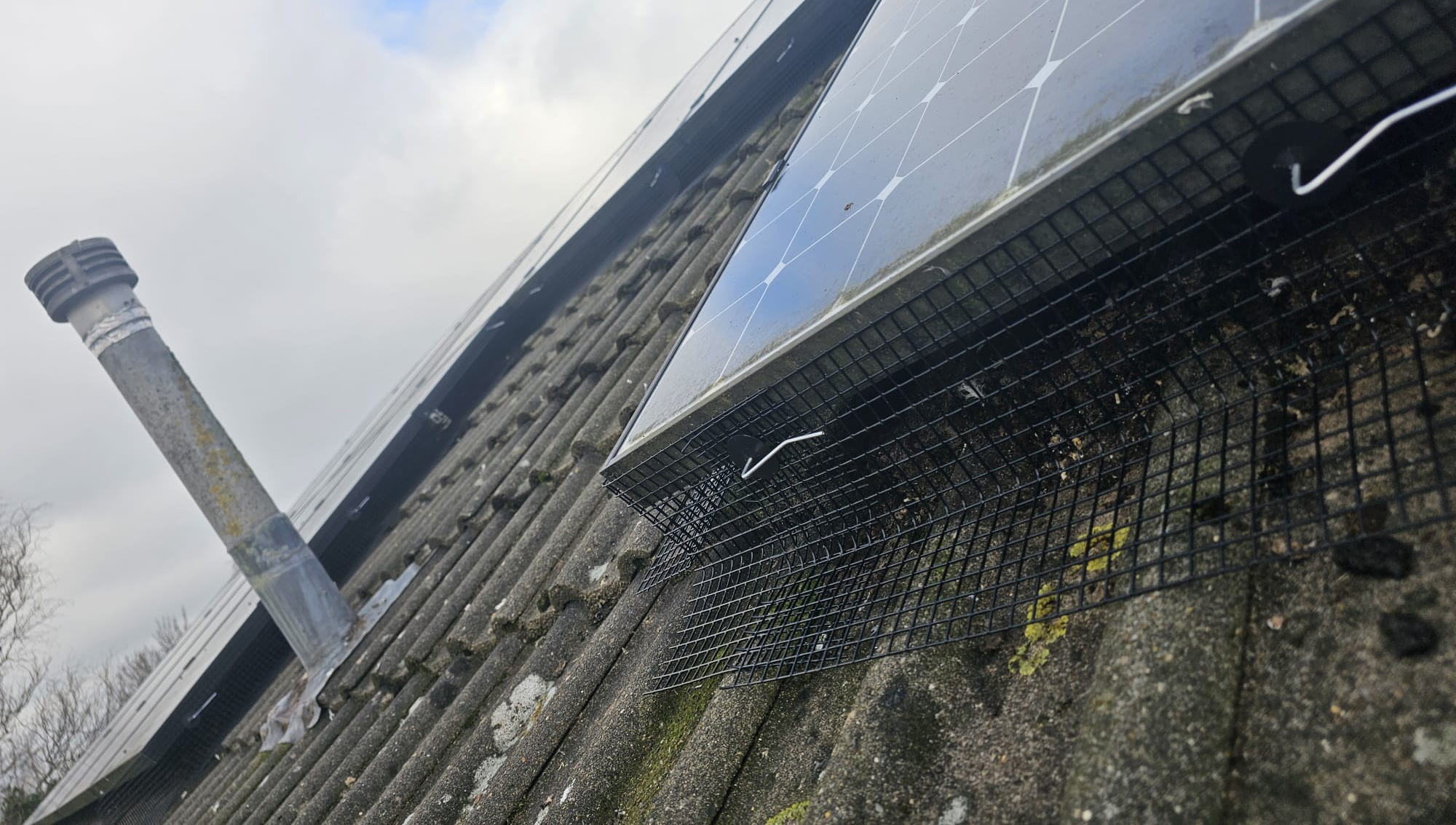 Pigeon+Proofing+Solar+Panels+in+Allestree