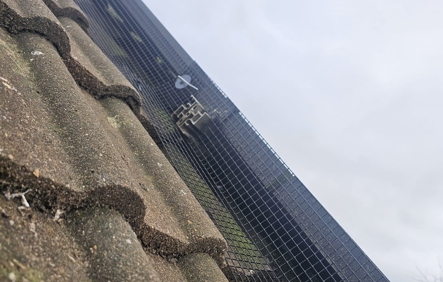 Pigeon Proofing Solar Panels in Allestree