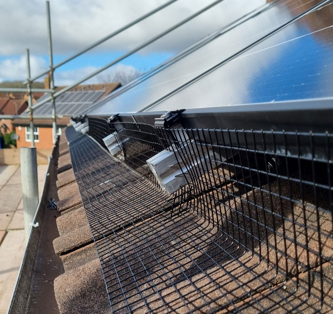 Pigeons+Move+in+on+Solar+Panels