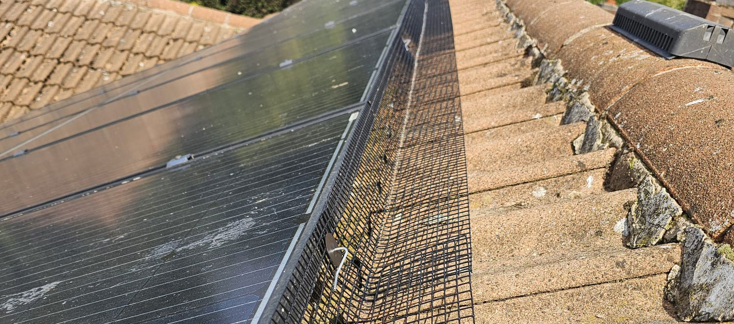 Protect Your Solar Panels - Say Goodbye to Pigeons