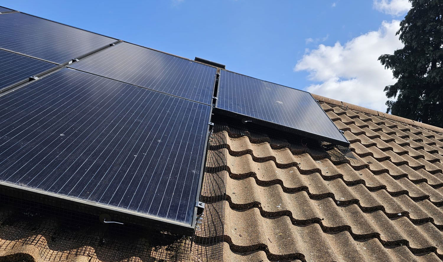 Protect Your Solar Panels - Say Goodbye to Pigeons
