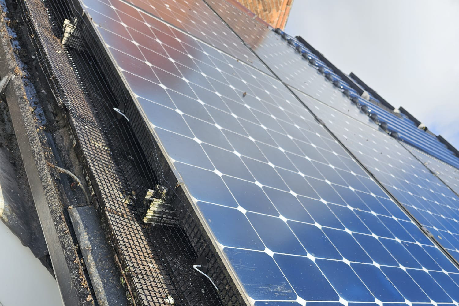 Preventing Pigeons From Nesting Under Solar Panels in Arnold