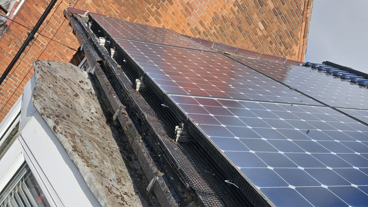 Preventing+Pigeons+From+Nesting+Under+Solar+Panels+in+Arnold