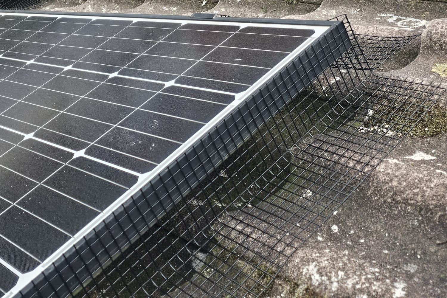 Protecting Solar Panels from Pigeons in Barwell, Leicestershire