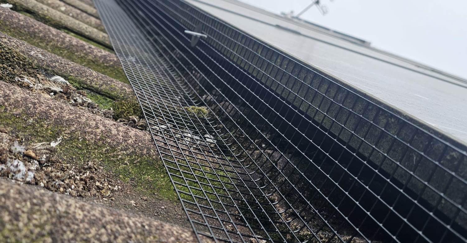 Protecting Solar Panels from Pigeons in Barwell, Leicestershire