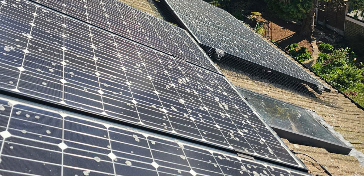 Preventing Pigeons From Nesting Under Solar Panels in Beeston