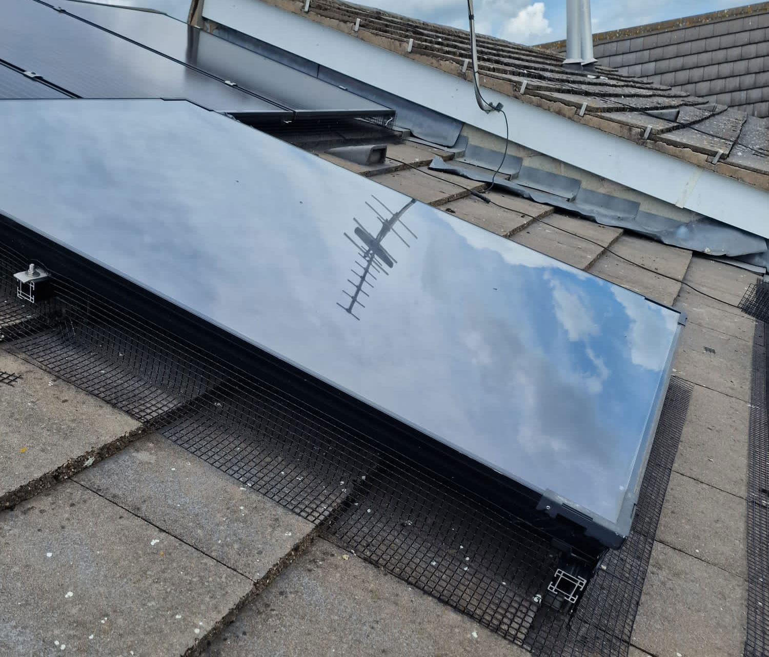 Protecting Solar Panels from Pigeons in Bestwood